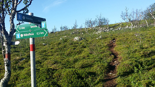 Liten omvei forbi Blåkollkoia før turen tilbake til Tønsvik.