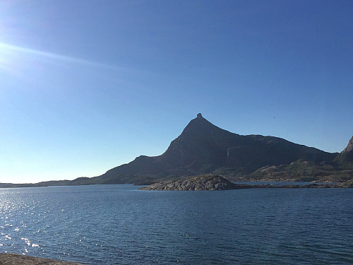Hestmannen fra sør.