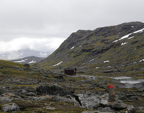 Baugebua