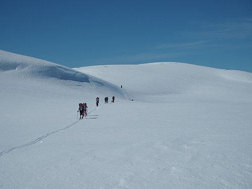 På vei fra Fjellbu til Skoaddejavre 3. juni 2017