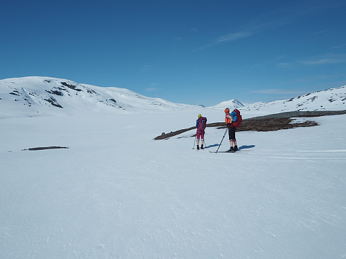 På vei fra Gautelis til Fjellbu 5. juni 2017