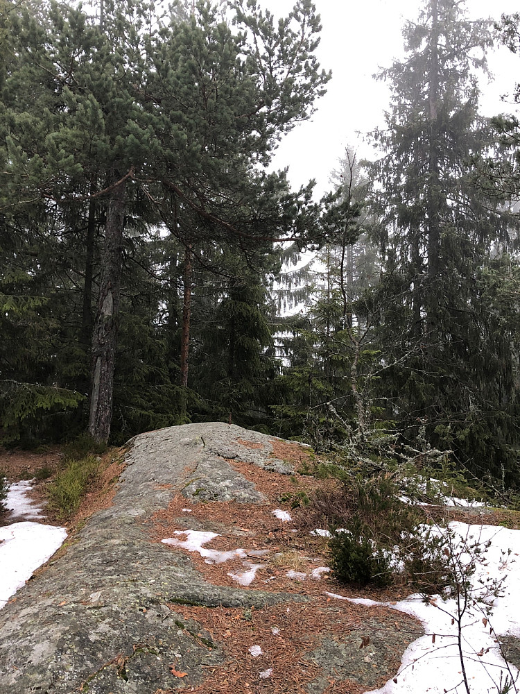 Tonekollen - Toppunkt i tåkehav