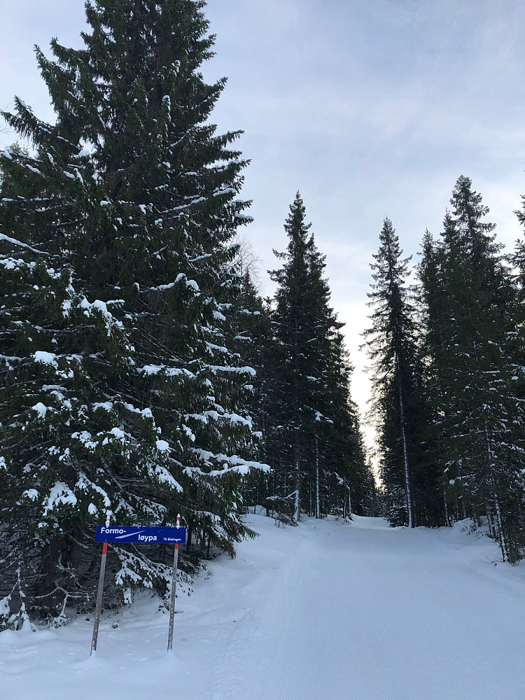 Formo løypa nordvest-siden
