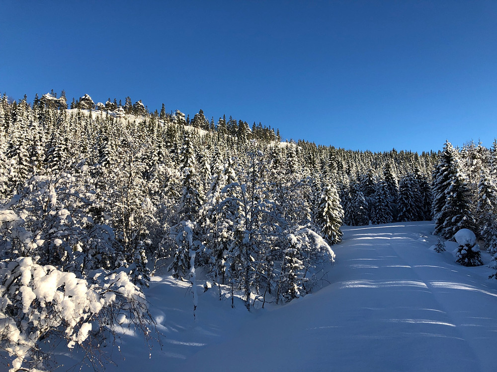 Urørt veitrasé innover mot Skotjernfjellet