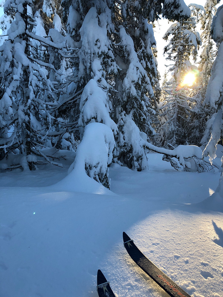 Madshusskiene på toppen av Skotjernsfjellet
