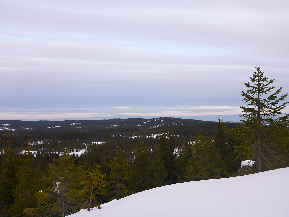 Østover 100m nord for Sandbekkmana - Revshammaren 620, Kjerkeberget N 626, Kjerkeberget 631 i utsikten