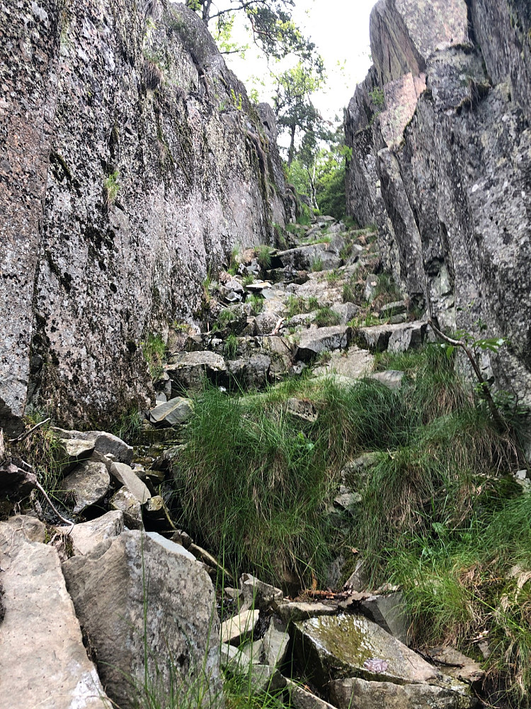 Stairway to heaven - Lett klyving i Skaret fra Setertjern rett opp til Nordre Kolsås