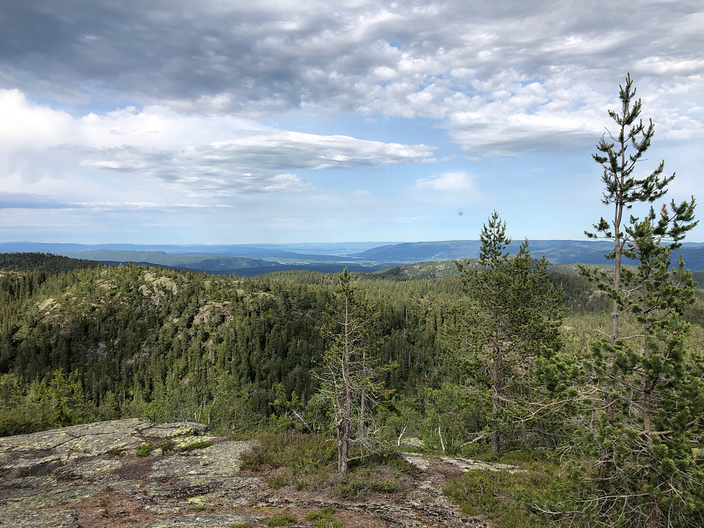 Utsikt mot nord og Tyrifjorden