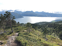 Avinus1_20190714_5d2b6089717a6.jpg