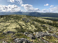 Avinus1_20190818_5d5931079d3f7.jpg
