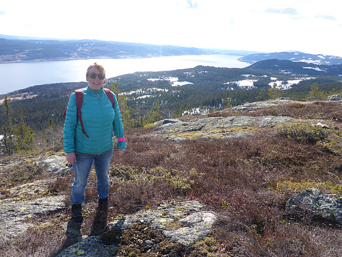 Utsikt mot Minnesund