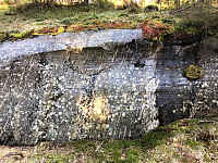 Avinus1_20200412_5e9339095c19f.jpg