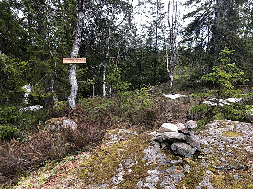Sør på Vidvangshøgda