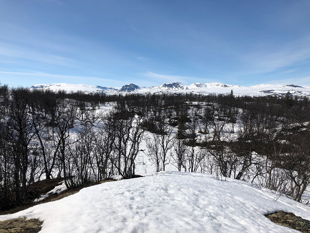 Utsikt nordover: Reineskarvet, Lauvdalsbrea, Fossebrea/Blåbergi, Nørdre og Søre Skorve, Svaraberget til høyre