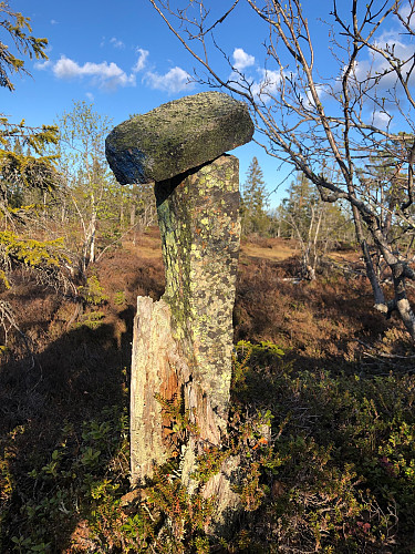 Varde ved stien