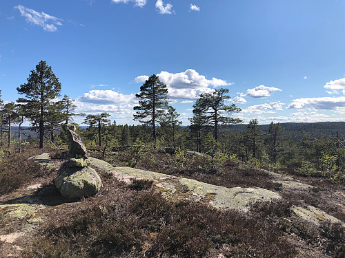 Toppvarde sørøst på Bjørnekollen