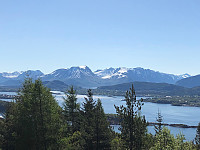 Avinus1_20200531_5ed3826a0e204.jpg