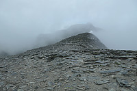 Avinus1_20200828_5f4921b490a78.jpg
