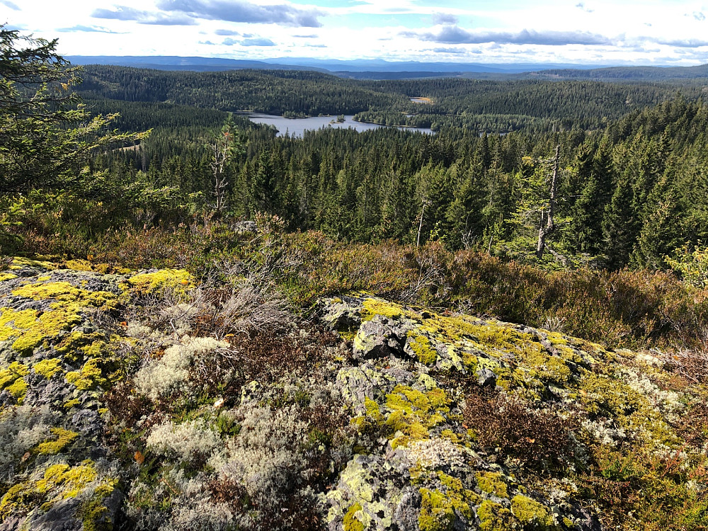 Flott utsikt vest og nord fra Kristibrenna. Nordre Heggelivann, Nibbittjern og Lauvliflaka bak Nordre Heggelivann