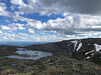 Avinus1_20210629_60db5427254c0.jpg