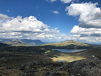 Avinus1_20210629_60db5427b5623.jpg