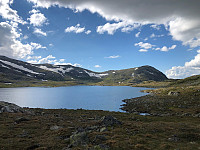 Avinus1_20210629_60db542a4c858.jpg