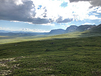 Avinus1_20210629_60db542c350c8.jpg