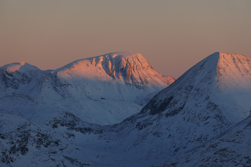 Snota.