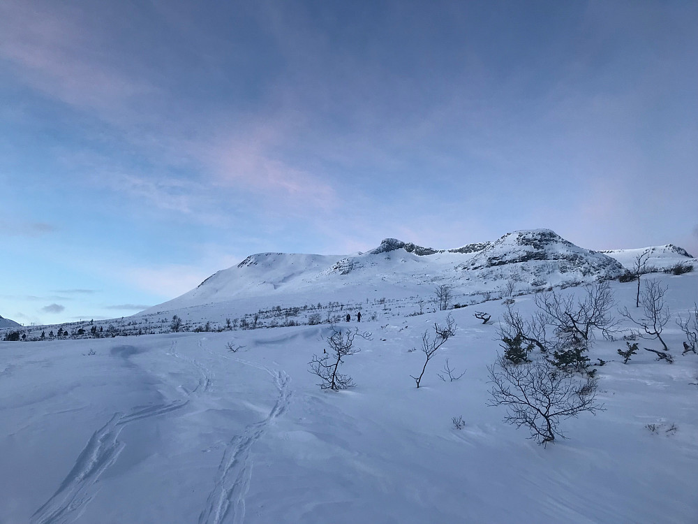 Morgenstemning.