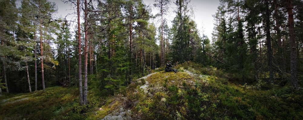 ''Lindberget''