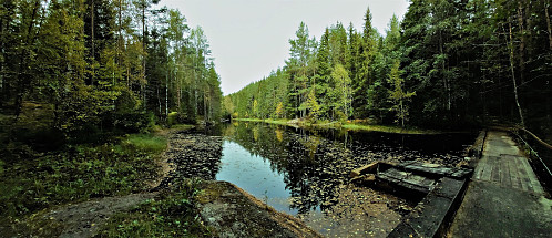 ''Rokkalidammen''
