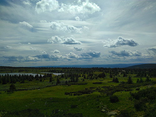 ''Løvisåsen''