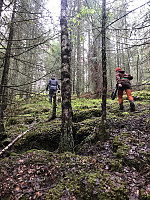 Rognil3_20190530_5cefe8d092856.jpg
