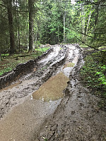 Rognil3_20190530_5cefe8d161831.jpg