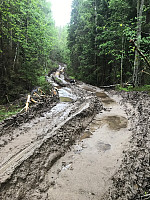 Rognil3_20190530_5cefe8d212fdc.jpg