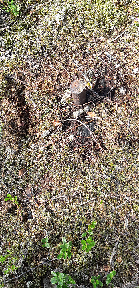 Toppen av [[image:Tjensvoll_Gjengen_20190826_5d636075a0c9b.jpg