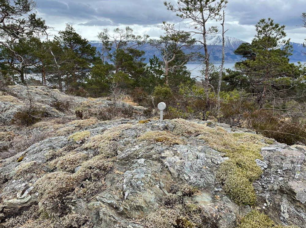 Knotten på Dåsa