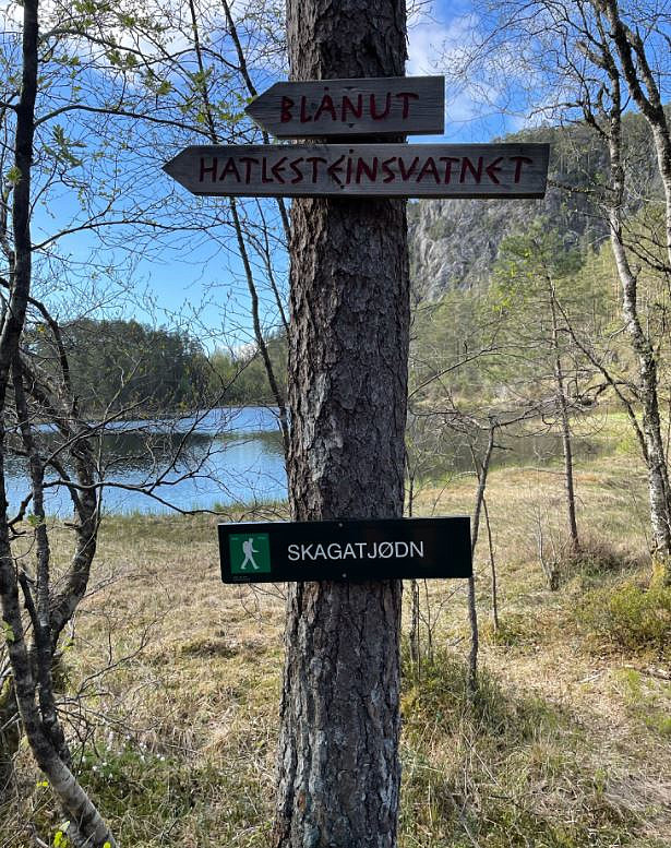 Skagatjørna