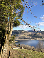 Hedda1_20190412_5cb0200c0f3e3.jpeg