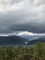 Hedda1_20190603_5cf55e282884a.jpeg