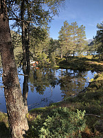 Hedda1_20190908_5d7500b7746d0.jpeg