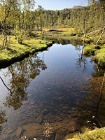 Hedda1_20190908_5d7500b89bf39.jpeg