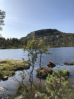 Hedda1_20190908_5d7500cc046c9.jpeg