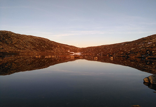 Selstjørna