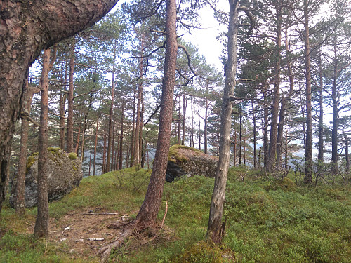 Toppen av Teråsen