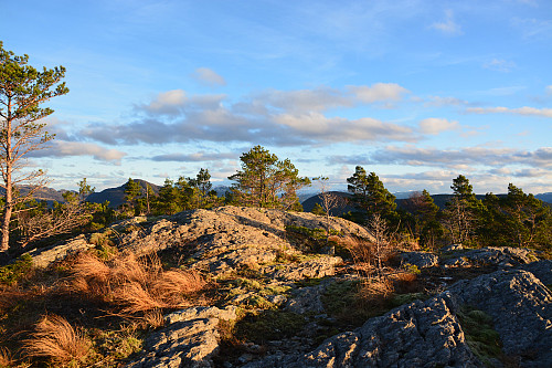 Toppen av Indralandsvarden, 373
moh.
