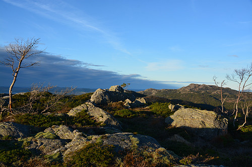 Toppen på det navnløse fjellet nord for Trolltjørna, 434 moh.