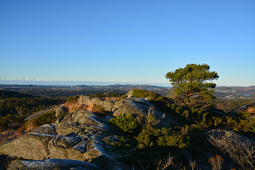 Toppen av Jabnafjellet, 227 moh.