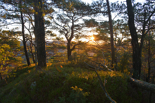 Toppen av Søre Baståsen, 188 moh.