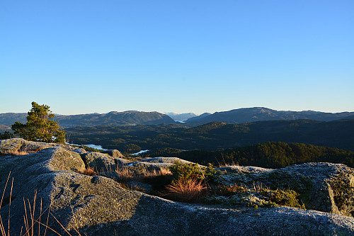 Utsikt mot Yrkjesfjorden fra Varafjellet.